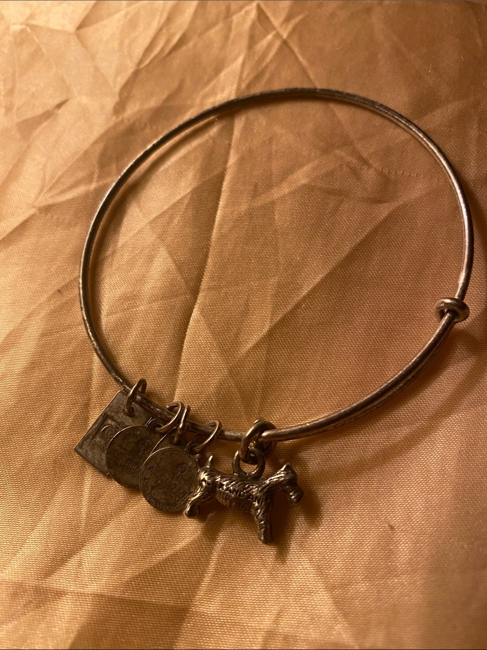 Alex and Ani Silver-Tone monopoly collection Dog Charm Bangle Bracelet